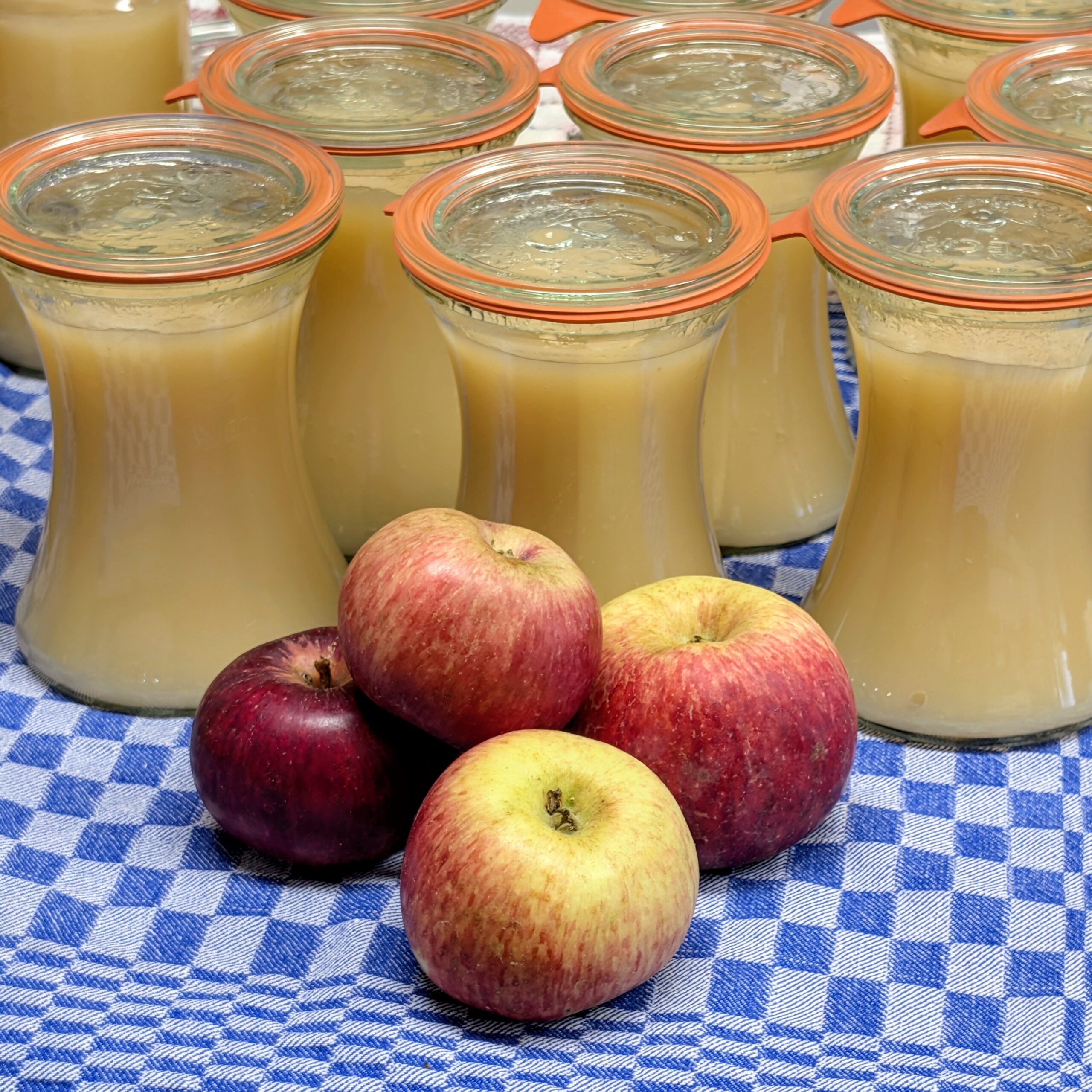 Apfelmus zuckerfrei (Rezept zum Einkochen)